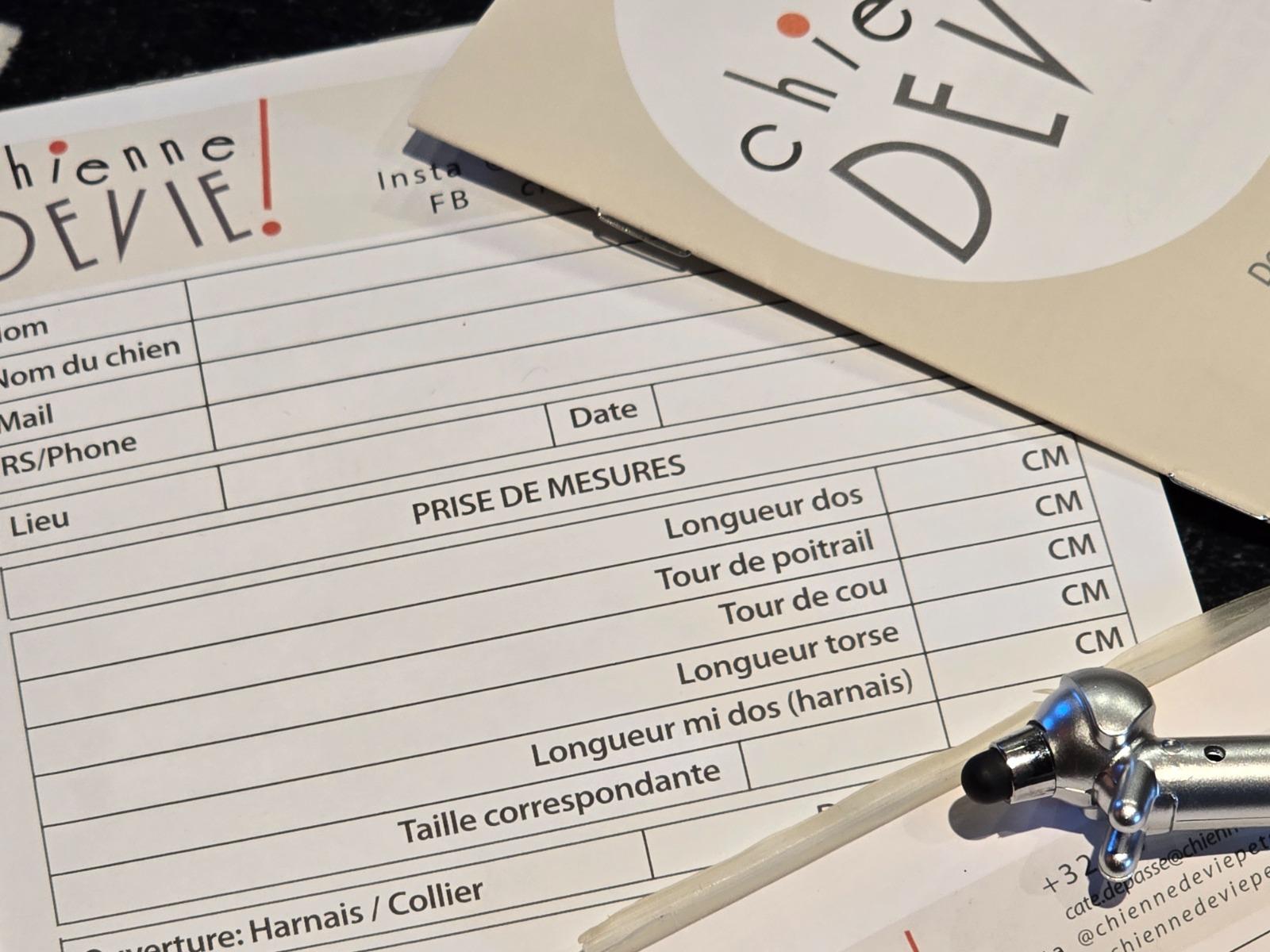 Fiche de prise de mesures