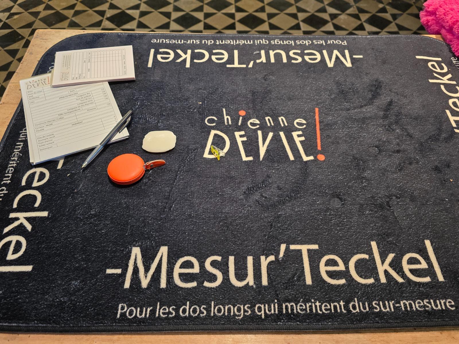 Tapis Mesur’Teckel — Chienne de Vie