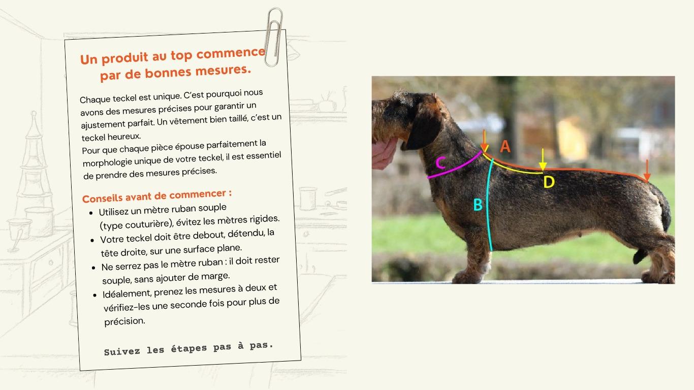 Fiche d'introduction : un produit au top commence par de bonnes mesures.