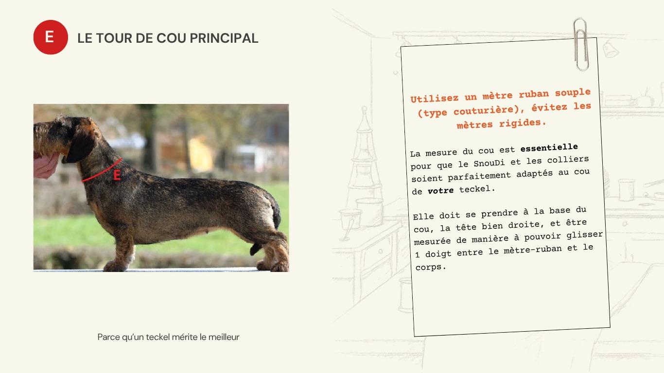 Schéma de la mesure E : tour de cou principal pour SnouDi et colliers.