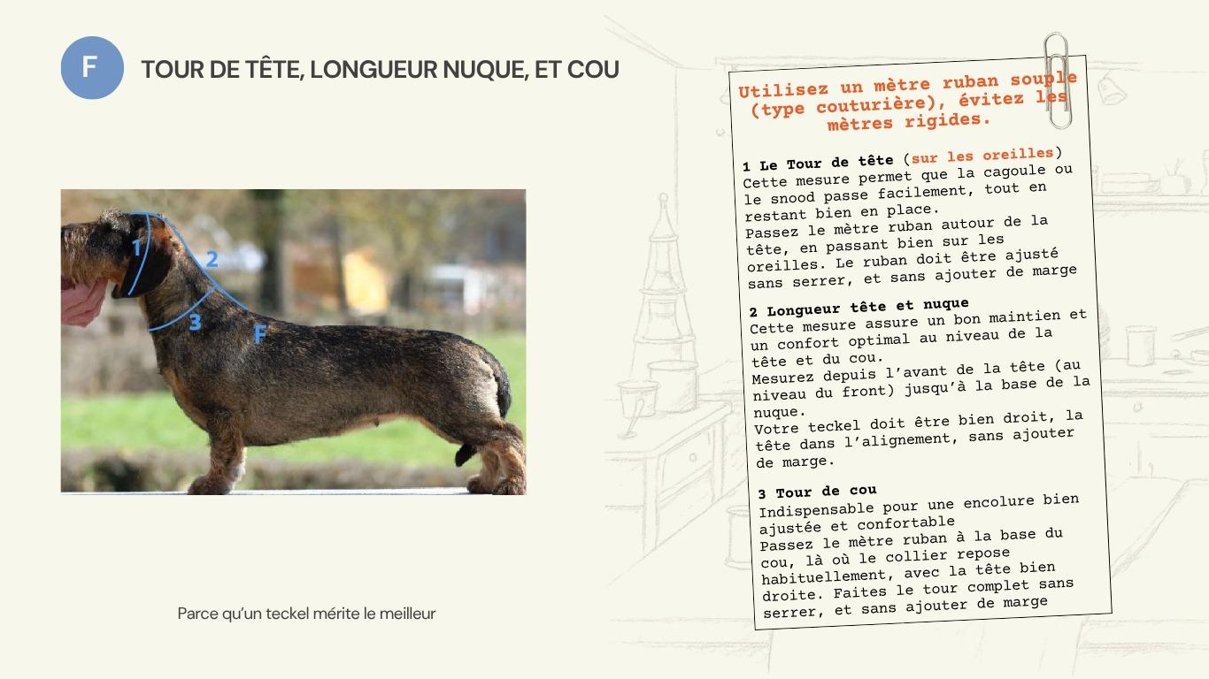 Schéma de la mesure F : tour de tête, longueur de nuque et tour de cou pour la cagoule.