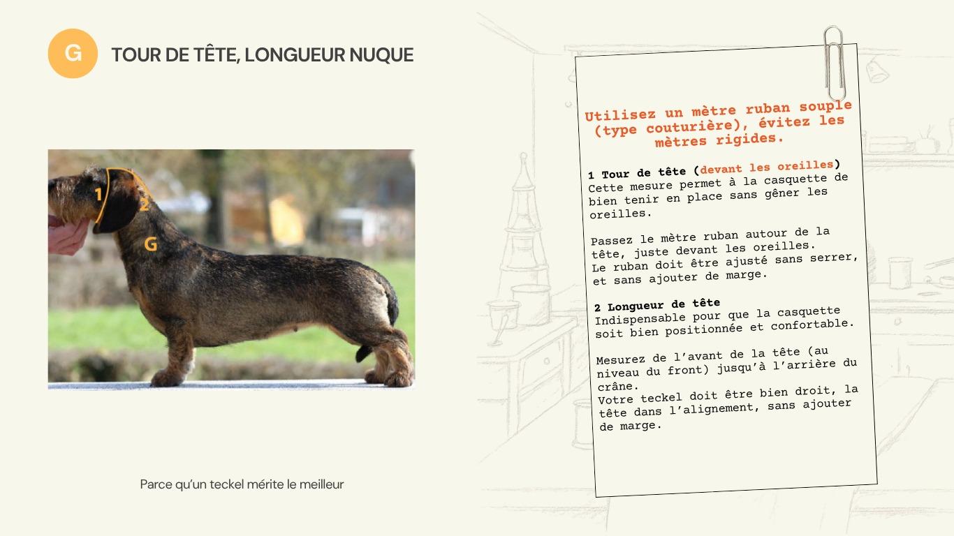 Schéma de la mesure G : tour de tête et longueur de nuque pour la casquette.