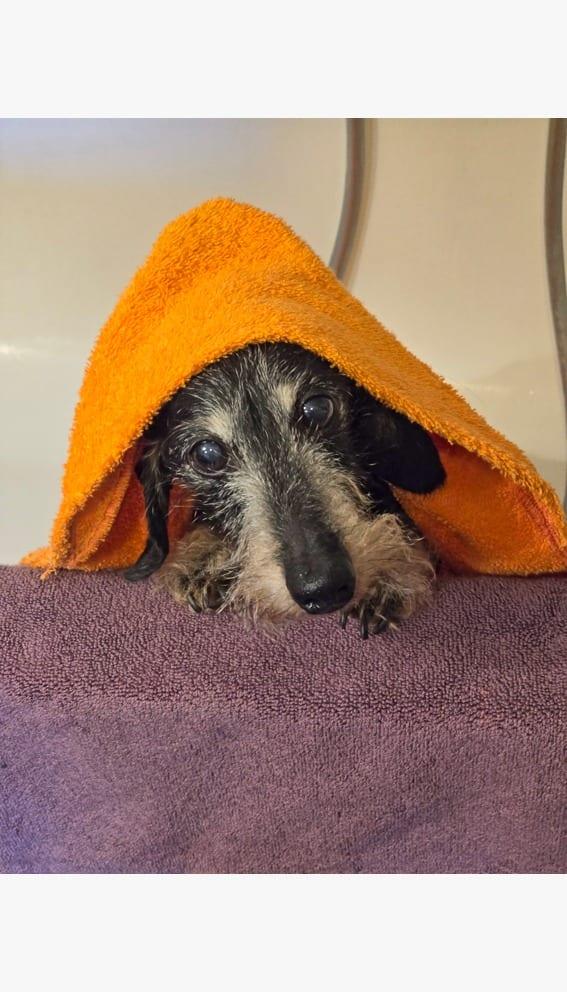 La cape de bain®
