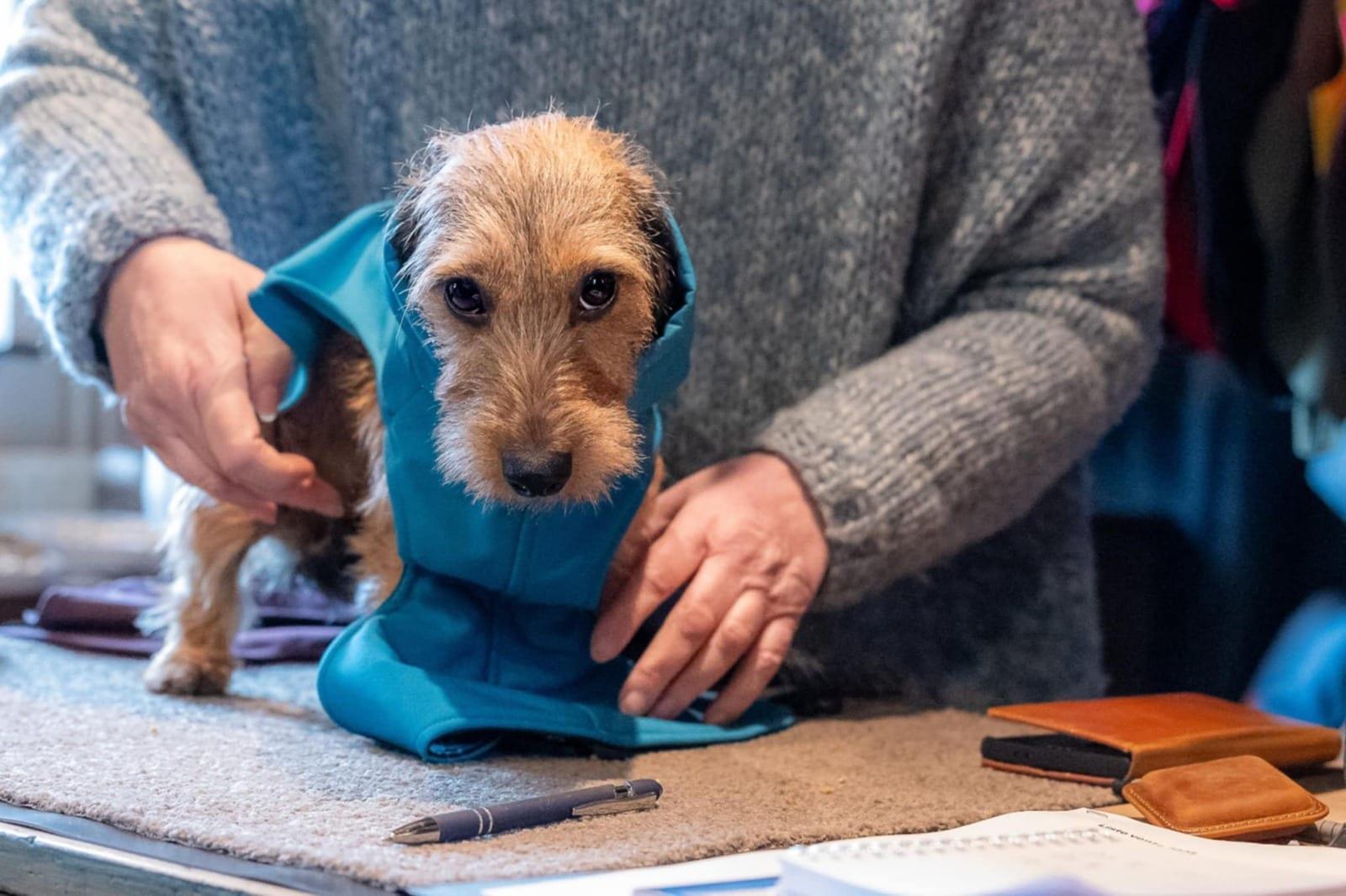 TecKW® imperméable pour teckel